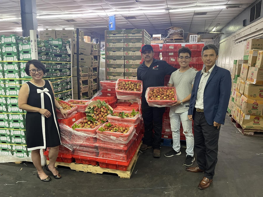 Vải thiều và cùng nhiều loại trái cây tươi khác của Việt Nam đang được phân phối tại các siêu thị và chợ châu Á lớn ở Houston cũng như một số bang khác.