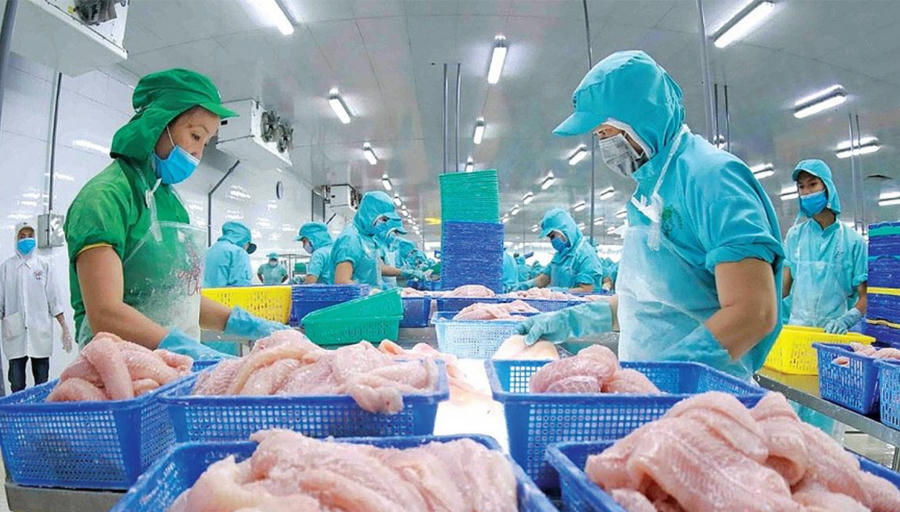 Ngành thủy sản phục hồi xuất khẩu, đạt 4,67 tỷ USD trong 5 tháng đầu năm. Ảnh InT