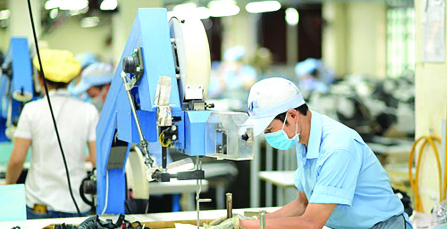 Hệ thống chính sách mới tập trung hỗ trợ nhóm doanh nghiệp có năng lực dẫn dắt thị trường và tham gia chuỗi giá trị toàn cầu. Ảnh InT