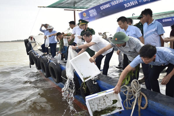 Các đại biểu tham gia thả cá giống thủy sản tại khu vực Cửa Lân, xã Nam Cường.