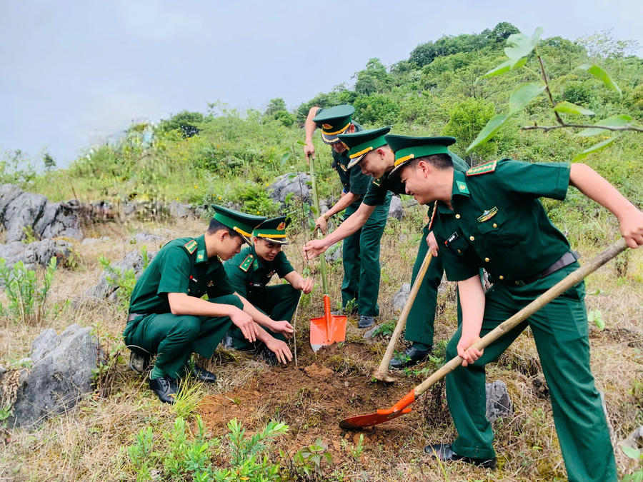 Cán bộ, chiến sĩ Đồn Biên phòng Tùng Vài, Bộ đội Biên phòng tỉnh Tuyên Quang tham gia trồng cây tại lễ ra quân. (Ảnh: Hoàng Chính).