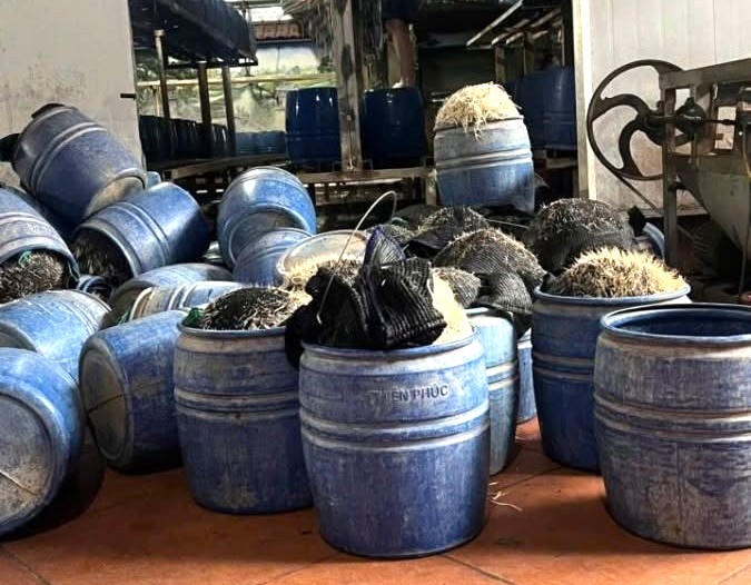 Những thùng giá đỗ mà Phùng Văn Hậu sử dụng chất cấm để sản xuất. Ảnh C.A Những thùng giá đỗ mà Phùng Văn Hậu sử dụng chất cấm để sản xuất. Ảnh C.A