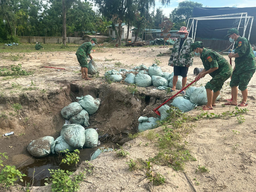 Lực lượng Đồn Biên phòng Trà Cổ kiểm đếm, xử lý số ngao hai cùi không có giấy tờ hợp pháp bị phát hiện trên bè mảng.