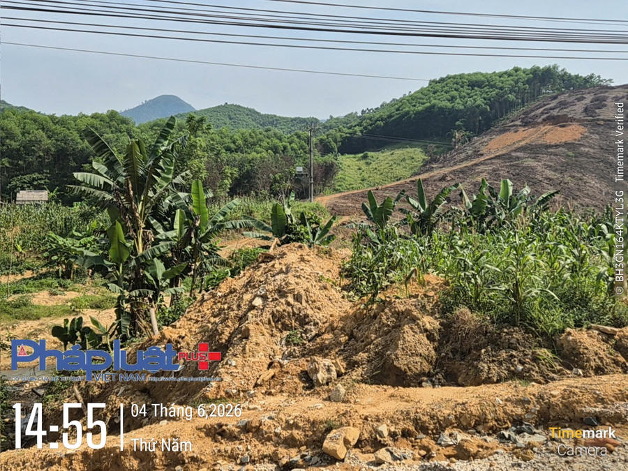 Đất đá thải được đơn vị thi công là Công ty TNHH Hùng Long Tuyên Quang đổ trực tiếp lên đất nông nghiệp trồng ngô, diện tích trồng chuối của người dân.