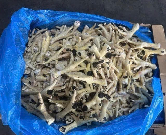 Một thùng chân gà nhập lậu được mở để kiểm tra.