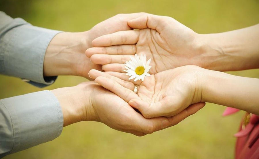 (hình minh họa). (hình minh họa).