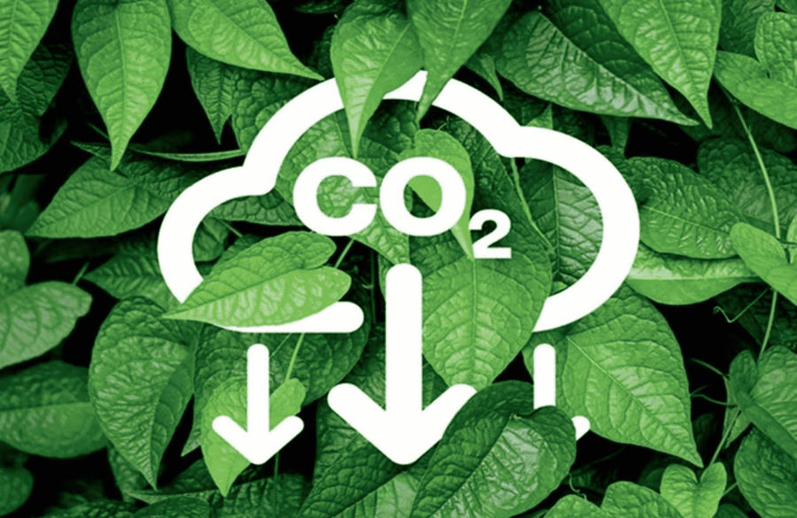Những công ty chứng khoán đăng ký thành công trên sàn giao dịch carbon.
