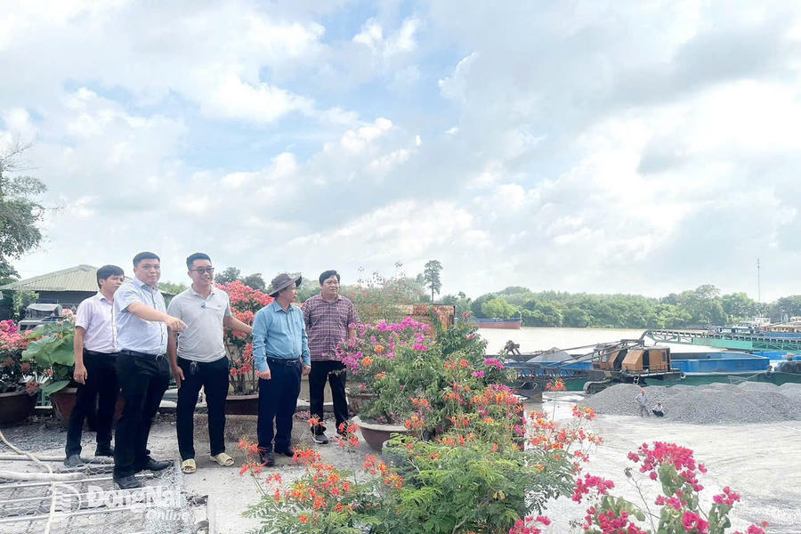 Quyết liệt lập lại trật tự, xử lý vi phạm.