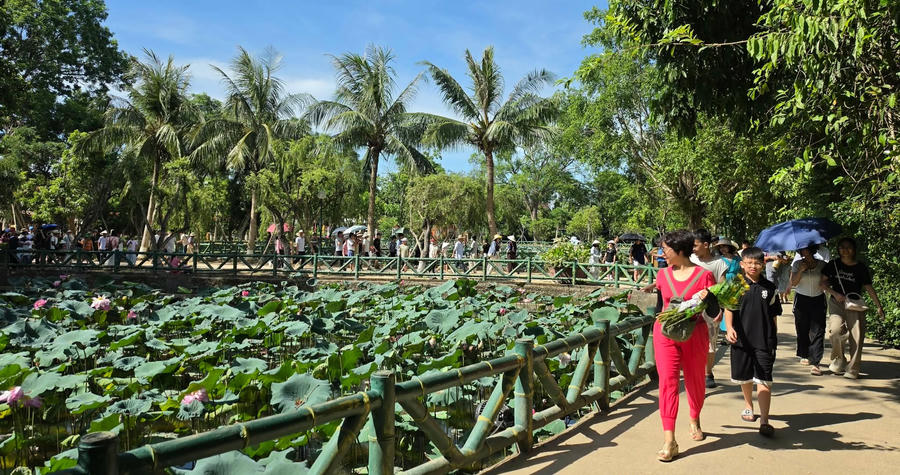 Từ khắp muôn nơi, du khách hành hương về Quê Bác.