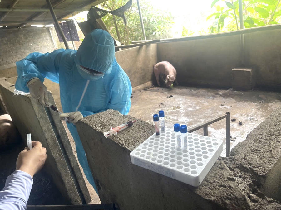 Cơ quan chức năng lấy mẫu giám định