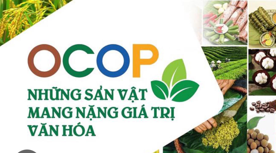Ưu tiên phát triển sản phẩm OCOP gắn với kinh tế xanh theo Quyết định số 26/2026/QĐ-TTg. Ảnh InT