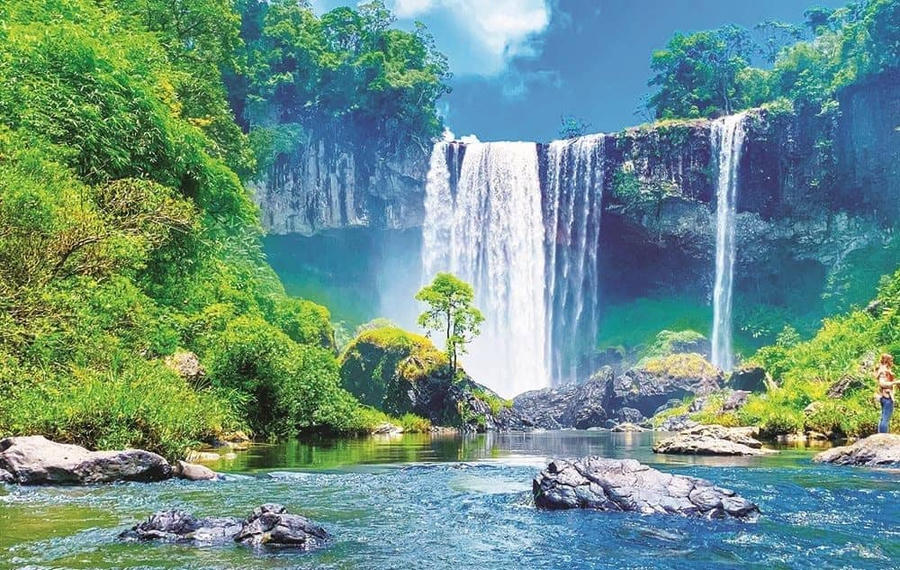 Hệ sinh thái rừng nguyên sinh hoang sơ tại Cao nguyên Kon Hà Nừng được bảo tồn nghiêm ngặt.