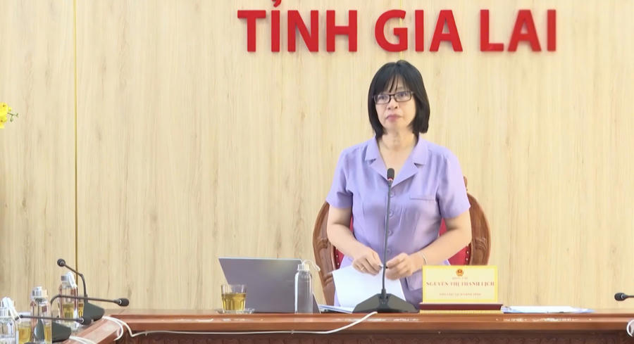 Phó Chủ tịch UBND tỉnh Nguyễn Thị Thanh Lịch phát biểu kết luận chỉ đạo hội nghị.