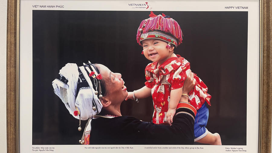 Tác phẩm "Mùa xuân của mẹ" của tác giả Nguyễn Tiến Dũng.