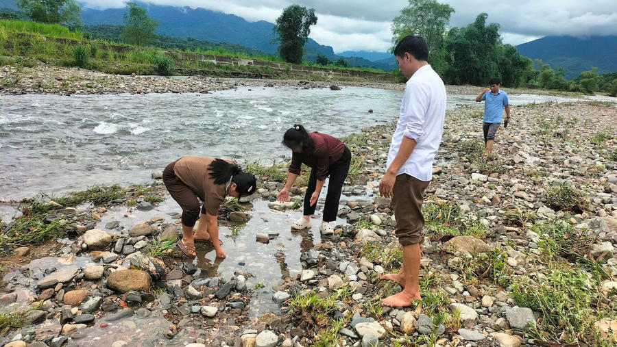 Cá chết trắng sau trận mưa lớn.