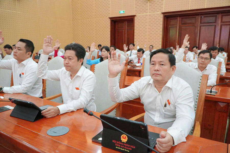 Các đại biểu biểu quyết thông qua 19 nghị quyết.