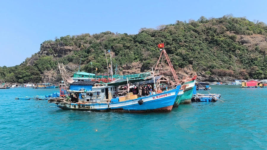 Chống khai thác hải sản bất hợp pháp (IUU) phải gắn với bảo đảm sinh kế cho ngư dân, đầu tư hạ tầng nghề cá và chuyển đổi sinh kế bền vững, hướng đến xây dựng nghề cá có trách nhiệm và phát triển kinh tế biển bền vững ở Cà Mau.