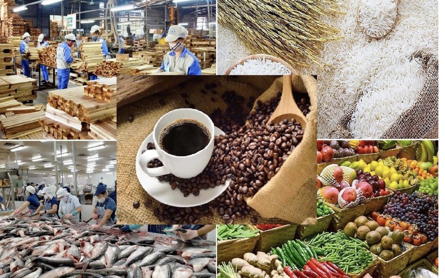 Nội dung của từng ngành sản phẩm sẽ giải thích rõ ràng các yếu tố cấu thành. Ảnh InT