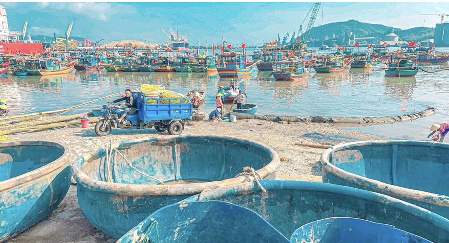 Nhiều ngư dân tại Nghi Sơn, Hải Bình… đi thuyền sang biển Nam Định để khai thác ruốc biển