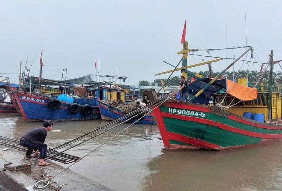 Ban Chỉ đạo Phòng thủ dân sự Quốc gia yêu cầu các địa phương căn cứ tình hình để chủ động quyết định việc cấm biển, sơ tán dân và ứng phó nguy cơ lũ quét, sạt lở do bão số 1.
Ban Chỉ đạo Phòng thủ dân sự Quốc gia yêu cầu các địa phương căn cứ tình hình để chủ động quyết định việc cấm biển, sơ tán dân và ứng phó nguy cơ lũ quét, sạt lở do bão số 1.