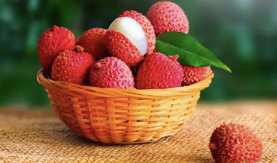 Hiện tại, vụ thu hoạch vải ở Bắc Ninh về cơ bản đã hoàn thành. Ảnh InT