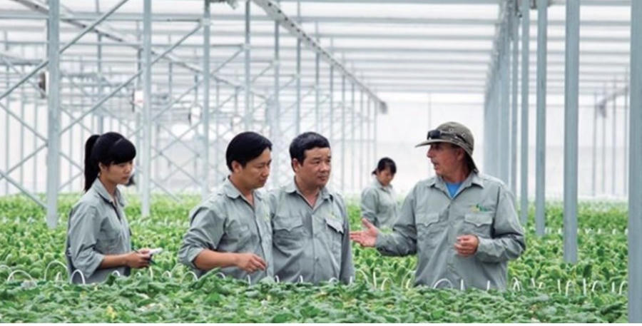 Để đảm bảo tính minh bạch, cơ quan quản lý nhà nước về khuyến nông tại địa phương có trách nhiệm giám sát, kiểm tra toàn bộ các hoạt động này trên địa bàn. Ảnh InT