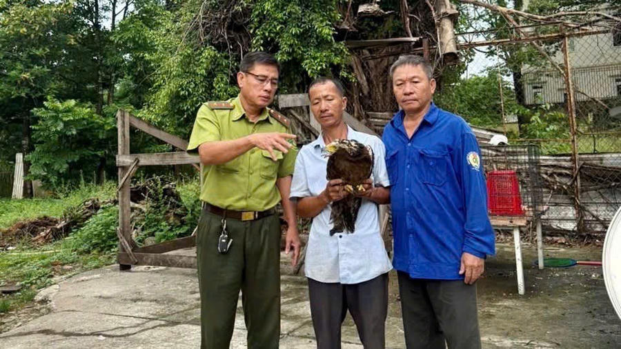 Nhiều người dân tự nguyện giao nộp động vật hoang dã cho cơ quan chức năng.