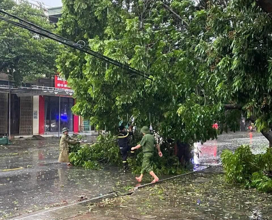 Lực lượng chức năng khu vực Móng Cái khẩn trương xử lý cây xanh gãy đổ trong mưa bão.