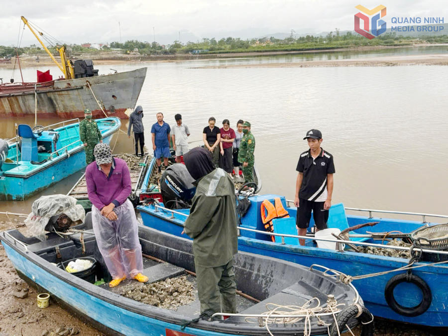 Lực lượng Biên phòng kiểm tra người, phương tiện và tang vật liên quan vụ cắt trộm dây hàu tại vùng biển xã Quảng Hà. Lực lượng Biên phòng kiểm tra người, phương tiện và tang vật liên quan vụ cắt trộm dây hàu tại vùng biển xã Quảng Hà.