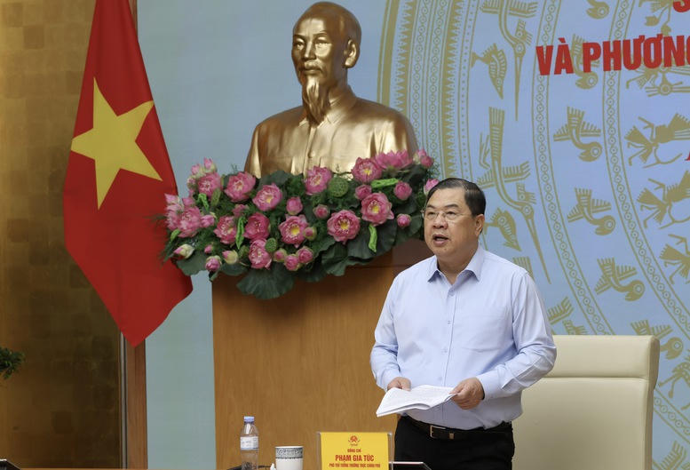 Phó Thủ tướng Thường trực Phạm Gia Túc phát biểu kết luận hội nghị. (Ảnh: VGP/Phương Nguyên)