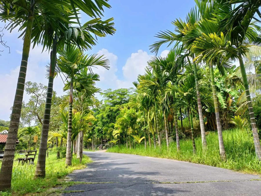 Khu nghỉ dưỡng với không gian xanh, đẹp và bình yên mang lại cảm giác thư thái, chữa lành.