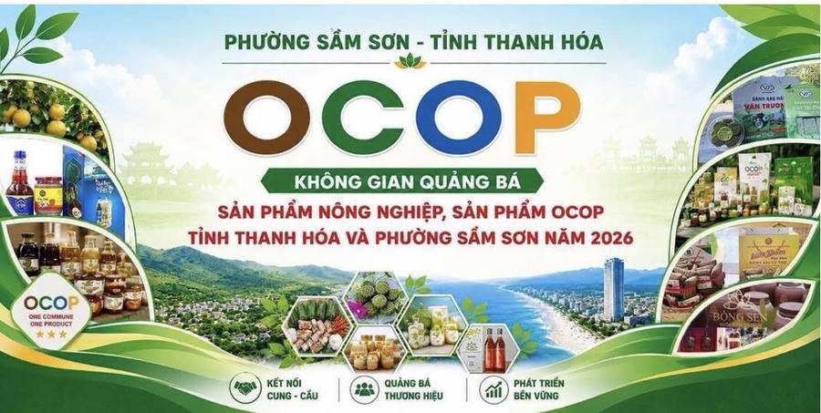 Sự kiện sẽ mở cửa liên tục từ 07:00 đến 23:00 hằng ngày, kéo dài từ ngày 08/7 đến hết ngày 25/09/2026 để phục vụ xuyên suốt mùa du lịch.