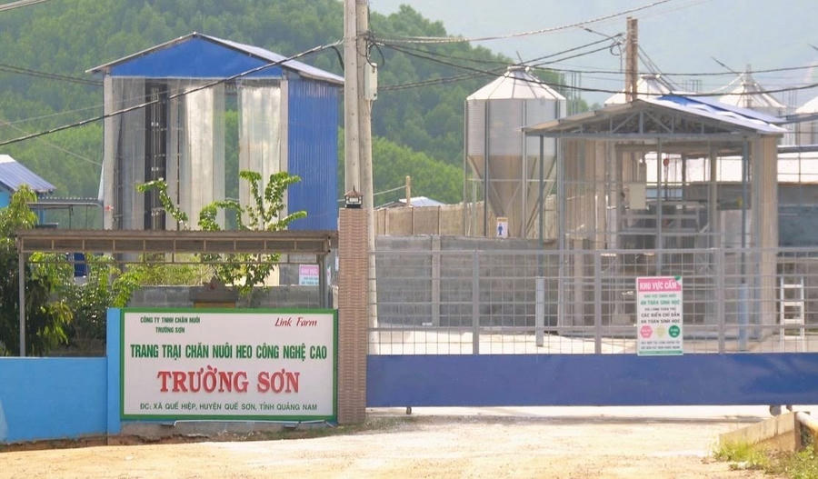 Công ty TNHH Chăn nuôi Trường Sơn bị phạt 625 triệu đồng. 