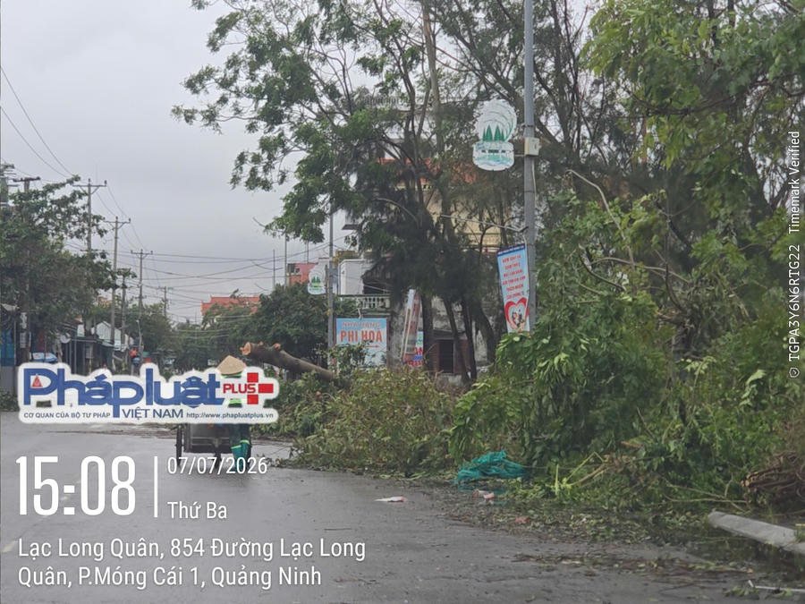 Công nhân vệ sinh môi trường khẩn trương thu dọn cây xanh gãy đổ, bảo đảm giao thông sau mưa bão.