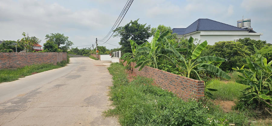 Nhiều diện tích đất lớn tại phường An Sinh, tỉnh Quảng Ninh có dấu hiệu phân lô ngay sau khi chuyển đổi thành công từ đất nông nghiệp sang đất ở.