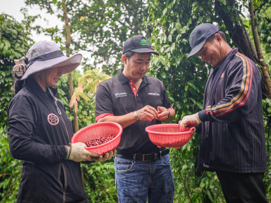 Tham gia chương trình NESCAFÉ Plan, chị Dung và anh Ngọc Anh đã có thêm kiến thức và kỹ năng để nâng cao năng suất, đồng thời cải thiện chất lượng cà phê. Ảnh_ ILO_Linh Pham.