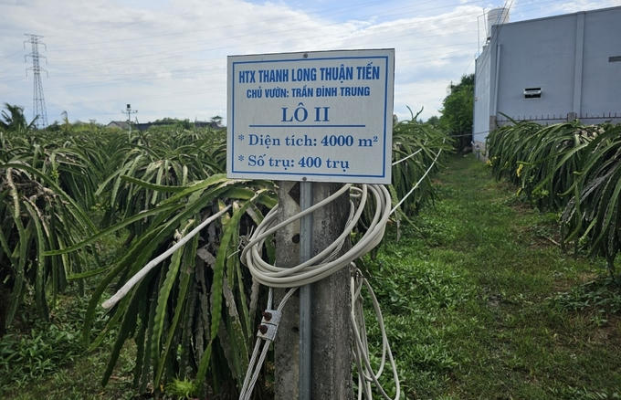 Bộ Nông nghiệp và Môi trường đề xuất đơn giản hóa thủ tục cấp mã số vùng trồng và cơ sở đóng gói để thúc đẩy xuất khẩu. (Ảnh minh họa: nongnghiepmoitruong.vn)