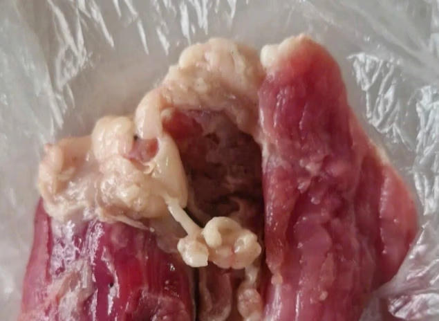 Số thịt lợn "có màu lạ" được phụ huynh trường mầm non Hòa Bình (tỉnh Thái Nguyên) chủ động đưa đi xét nghiệm phát hiện dương tính với dịch tả lợn châu Phi.