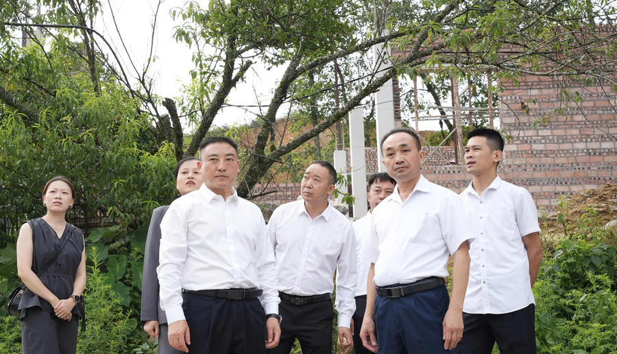 Hai bên khảo sát chợ Mỏ Phàng.