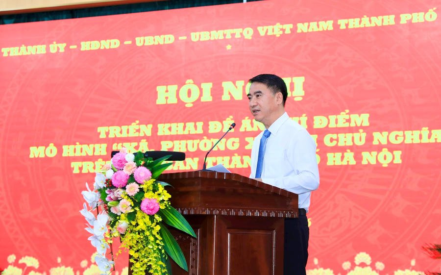Phó Chủ tịch UBND thành phố Hà Nội Nguyễn Xuân Lưu trình bày tóm tắt Đề án. (Ảnh: dbndhanoi.gov.vn)