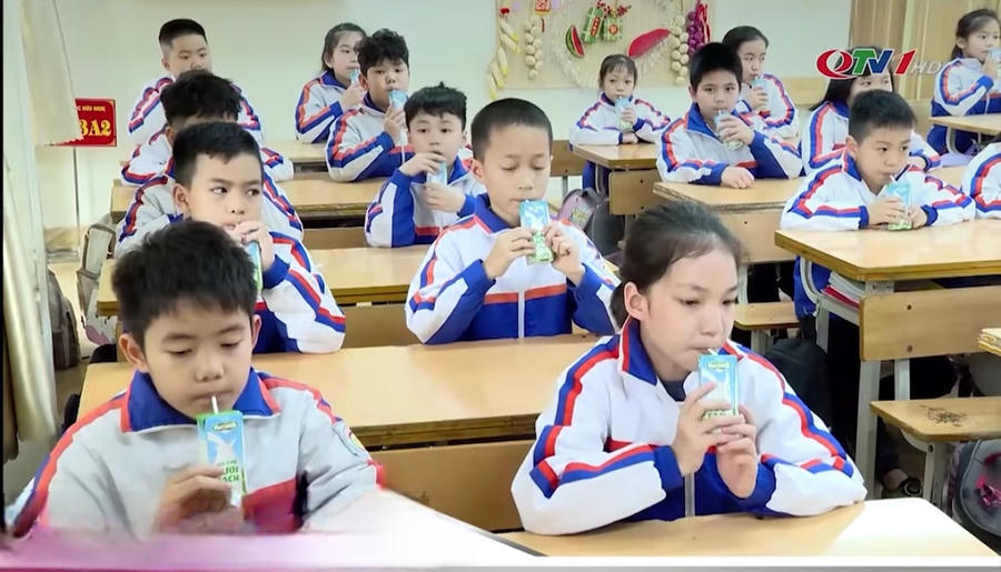 Học sinh Quảng Ninh được hỗ trợ sữa uống miễn phí tại trường.