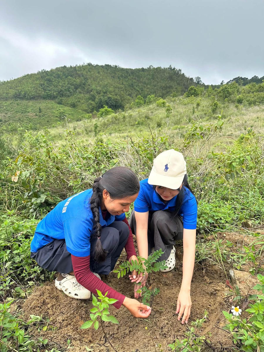 Biểu tượng của lòng biết ơn sâu sắc đối với các anh hùng liệt sĩ.