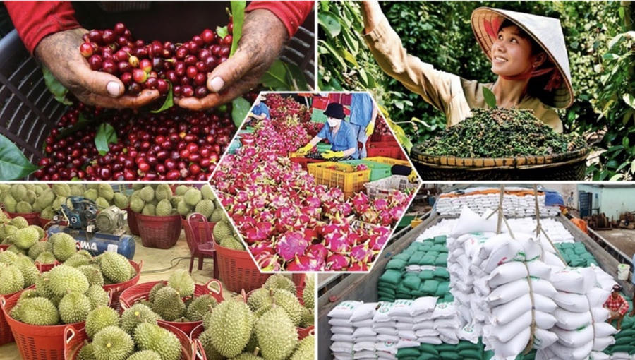Quy định mới này không chỉ giúp thống nhất quy trình, xác định rõ trách nhiệm của từng cấp quản lý mà còn tạo cơ chế thông thoáng cho các chủ thể hoàn thiện hồ sơ. Ảnh InT