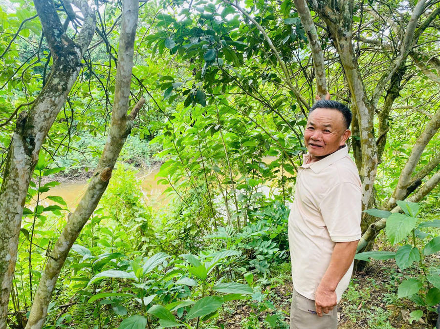 Vợ chồng ông bà Trần Dung dành trọn hơn nửa đời người khai hoang và canh tác trên thửa đất.