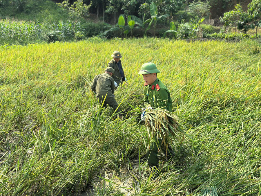 Công an xã Tân Hợp hỗ trợ bà con thu hoạch lúa, gắn kết hình ảnh người Chiến sỹ công an nhân dân với bà con địa phương.