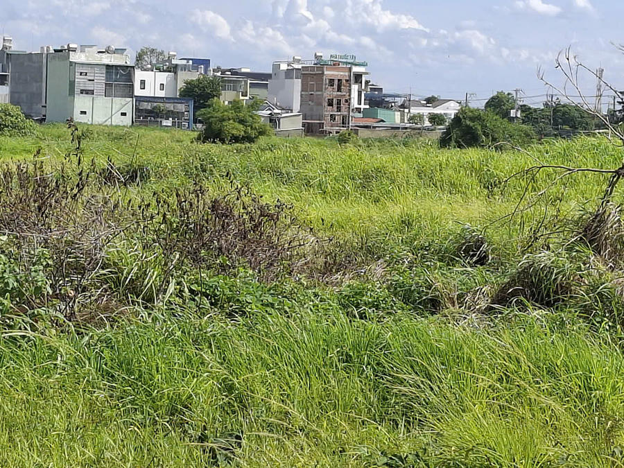 Khu đất dự án.