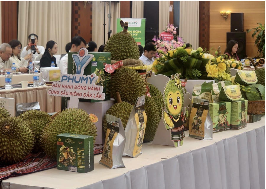 Sầu riêng và nhiều sản phẩm từ sầu riêng Đắk Lắk được mang tới Hà Nội. Ảnh: THU HÀ/ sggp.org.vn