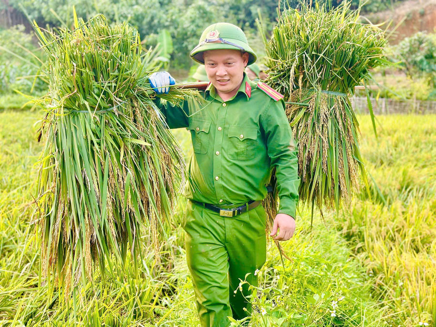 Công an xã Tân Hợp hỗ trợ bà con thu hoạch lúa, gắn kết hình ảnh người Chiến sỹ công an nhân dân với bà con địa phương.