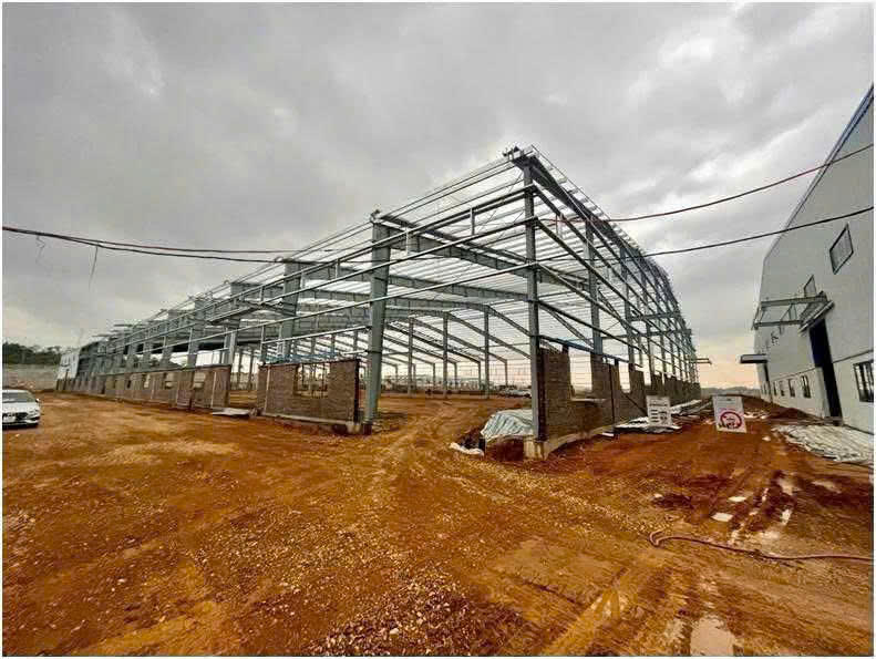 Hiện trường vụ tai nạn.