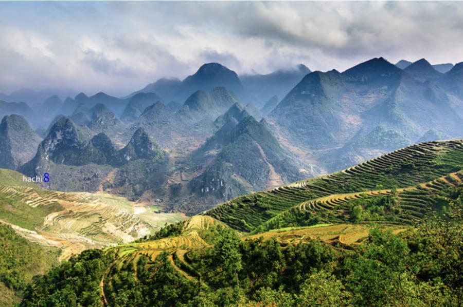 Cao nguyên đá Đồng Văn (tỉnh Tuyên Quang). Ảnh InT